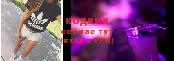 дурь Нея