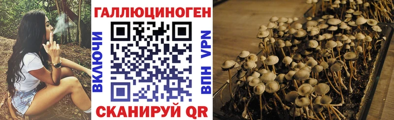 mega маркетплейс  даркнет сайт  Югорск  Галлюциногенные грибы Magic Shrooms 