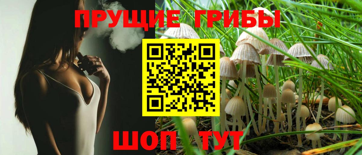 Псилоцибиновые грибы прущие грибы  Вход с VPN  Югорск 