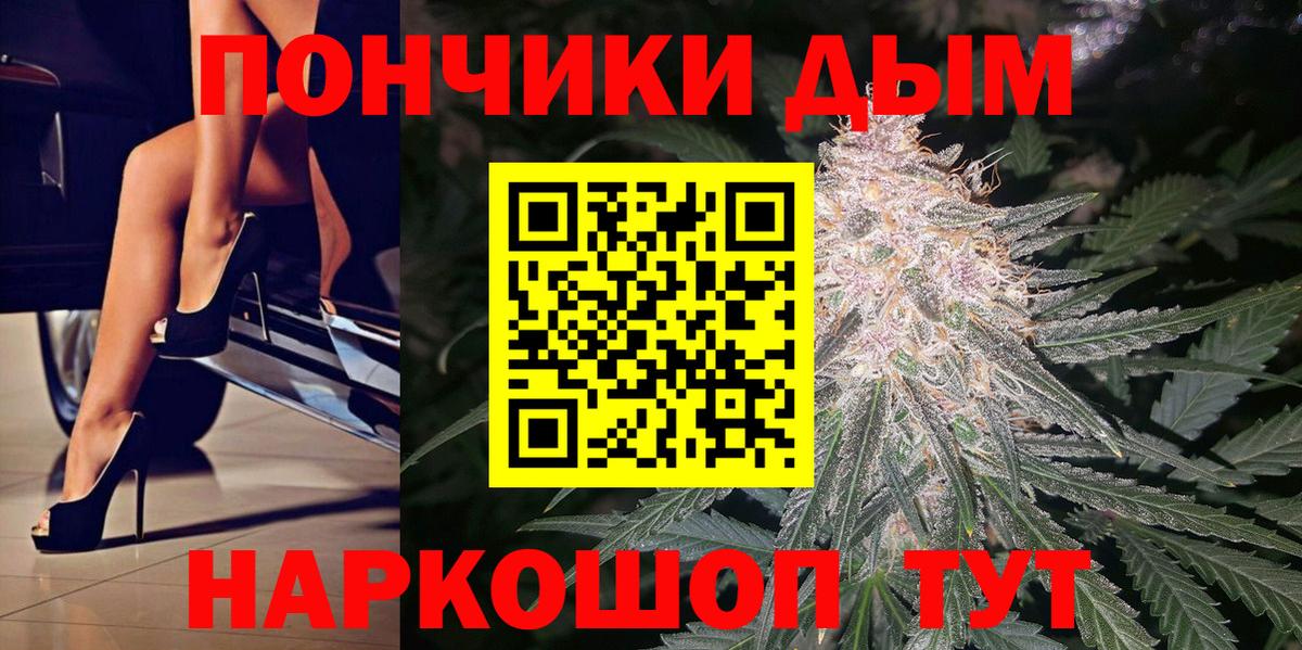 Каннабис индика  Марихуана сатива  Югорск  Канабис гибрид 